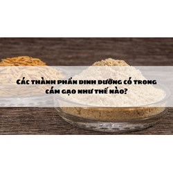 Các thành phần dinh dưỡng có trong cám gạo như thế nào?