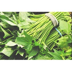 Các lợi ích của việc ăn rau khoai lang
