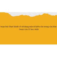 Soạn bài Thực hành về sử dụng một số kiểu câu trong văn bản - Soạn văn 11 hay nhất