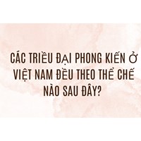 Các triều đại phong kiến ở Việt Nam đều theo thể chế nào sau đây?