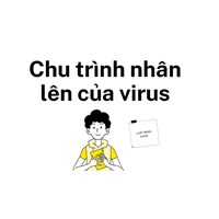 Chu trình nhân lên của virus
