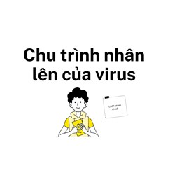 Chu trình nhân lên của virus