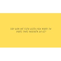 Tập bản đồ tiêu biểu của nước ta dưới thời Nguyễn là gì?