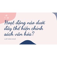 Hoạt động nào dưới đây thể hiện chính sách văn hóa?