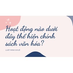 Hoạt động nào dưới đây thể hiện chính sách văn hóa?