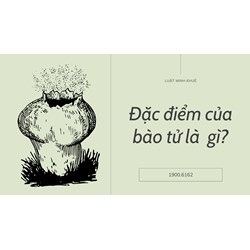 Đặc điểm của bào tử là  gì?