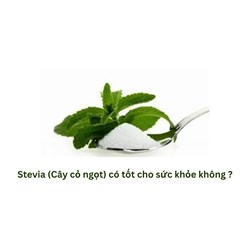 Stevia (Cây cỏ ngọt) có tốt cho sức khỏe không ?