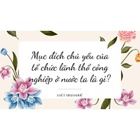 Mục đích chủ yếu của tổ chức lãnh thổ công nghiệp ở nước ta là gì?