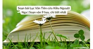Soạn bài Lục Vân Tiên cứu Kiều Nguyệt Nga | Soạn văn 9 hay, chi tiết nhất
