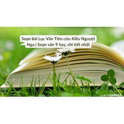 Soạn bài Lục Vân Tiên cứu Kiều Nguyệt Nga | Soạn văn 9 hay, chi tiết nhất