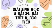 Giải Sinh học lớp 8 Bài 39: Bài tiết nước tiểu