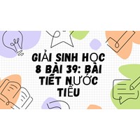 Giải Sinh học lớp 8 Bài 39: Bài tiết nước tiểu