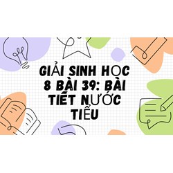 Giải Sinh học lớp 8 Bài 39: Bài tiết nước tiểu