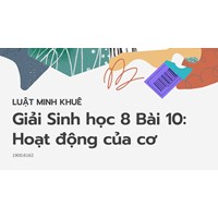 Giải Sinh học lớp 8 Bài 10: Hoạt động của cơ