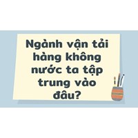 Ngành vận tải hàng không nước ta tập trung vào đâu?