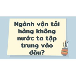 Ngành vận tải hàng không nước ta tập trung vào đâu?