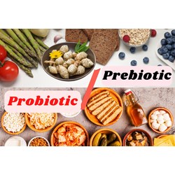 Tổng hợp 11 loại thực phẩm Probiotic siêu tốt cho sức khỏe
