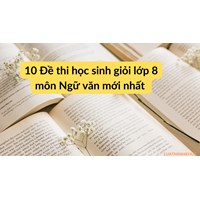 Top 10 Đề thi học sinh giỏi lớp 8 môn Ngữ văn mới nhất