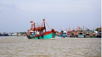 Tại các vùng biển Nhật Bản có nhiều ngư trường lớn là do đâu?
