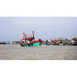 Tại các vùng biển Nhật Bản có nhiều ngư trường lớn là do đâu?