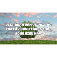 Viết đoạn văn về vai trò của cây xanh trong cuộc sống siêu hay