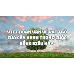 Viết đoạn văn về vai trò của cây xanh trong cuộc sống siêu hay