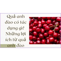 Quả anh đào có tác dụng gì? Những lợi ích từ quả anh đào