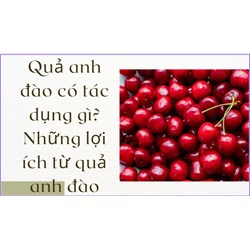 Quả anh đào có tác dụng gì? Những lợi ích từ quả anh đào