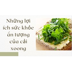 Những lợi ích sức khỏe ấn tượng của cải xoong