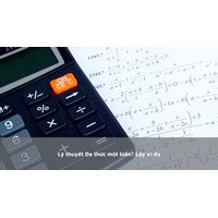 Lý thuyết Đa thức một biến? Lấy ví dụ