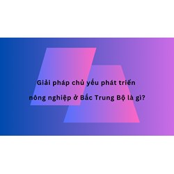 Giải pháp chủ yếu phát triển nông nghiệp ở Bắc Trung Bộ là gì?