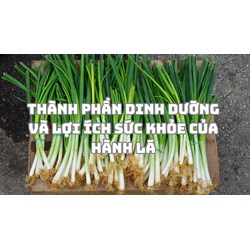 Thành phần dinh dưỡng và lợi ích sức khỏe của hành lá