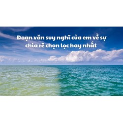 Đoạn văn suy nghĩ của em về sự chia rẽ chọn lọc hay nhất