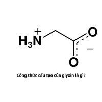 Công thức cấu tạo của glyxin là gì?
