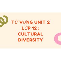 Từ vựng Unit 2 Tiếng anh lớp 12 : Cultural diversity