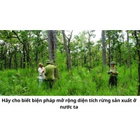 Hãy cho biết biện pháp mở rộng diện tích rừng sản xuất ở nước ta