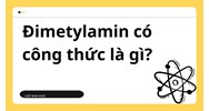 Đimetylamin có công thức là gì ?