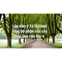 Lập dàn ý Tả lần lượt từng bộ phận của cây Tập làm văn lớp 4