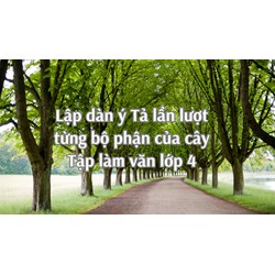 Lập dàn ý Tả lần lượt từng bộ phận của cây Tập làm văn lớp 4