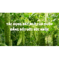 Tác dụng bất ngờ của mướp đắng đối với sức khỏe