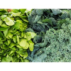 Lợi ích của nước ép cải xoăn mà không phải ai cũng biết