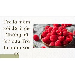 Trà lá mâm xôi đỏ là gì? Những lợi ích của Trà lá mâm xôi đỏ