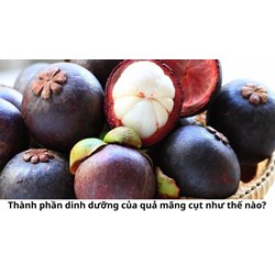 Thành phần dinh dưỡng của quả măng cụt như thế nào?