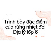 Trình bày đặc điểm của rừng nhiệt đới Địa lý lớp 6