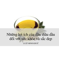 Những lợi ích của dầu thầu dầu đối với sức khỏe và sắc đẹp