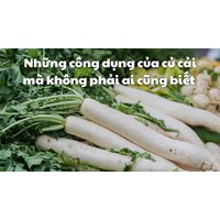Những công dụng của củ cải mà không phải ai cũng biết