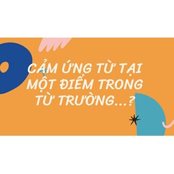 Cảm ứng từ tại một điểm trong từ trường...?