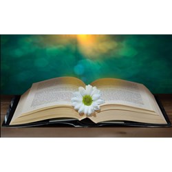 Phân phối chương trình Ngữ văn lớp 8 năm học chi tiết nhất