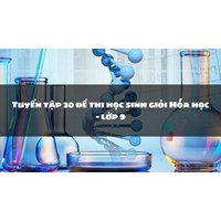 Tuyển tập 30 đề thi học sinh giỏi Hóa học lớp 9 chọn lọc