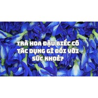 Trà hoa đậu biếc có tác dụng gì đối với sức khoẻ?